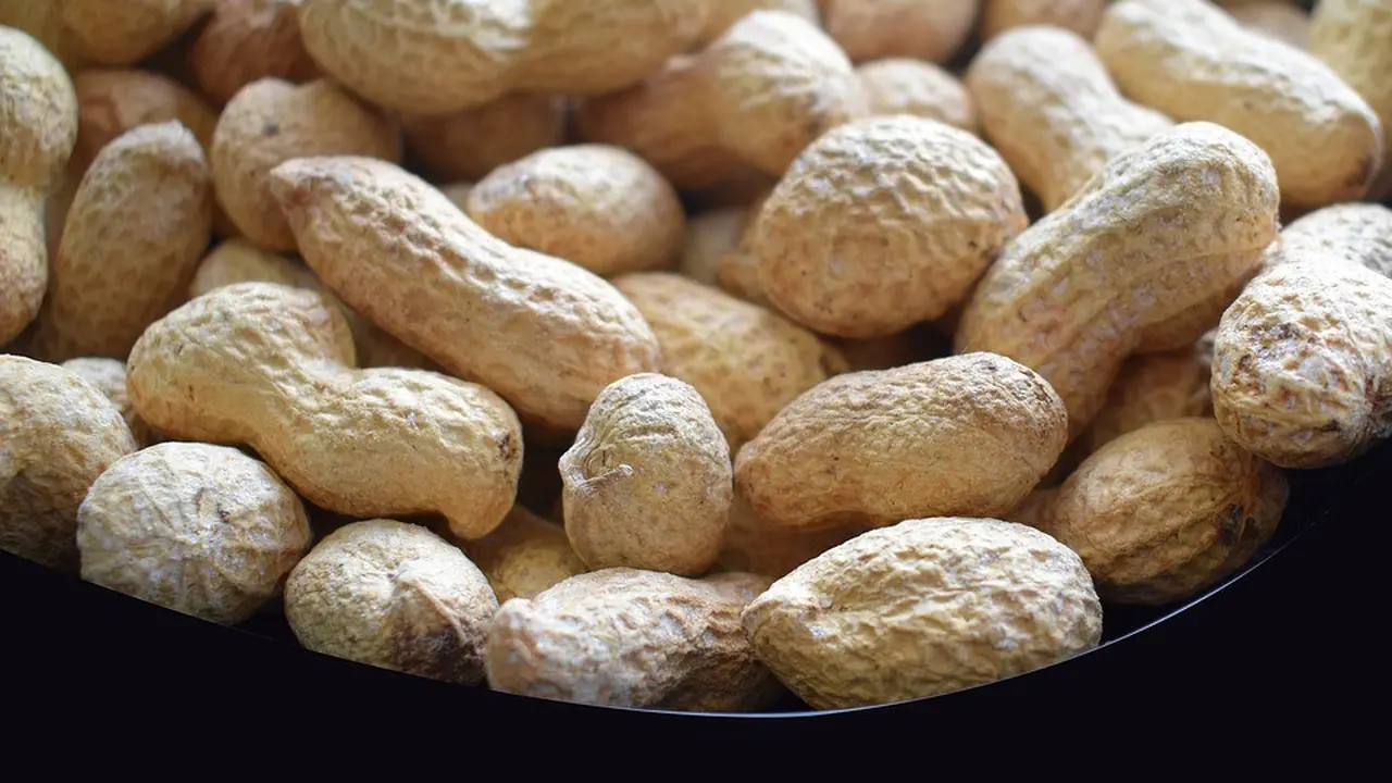 Manfaat Kacang Tanah
