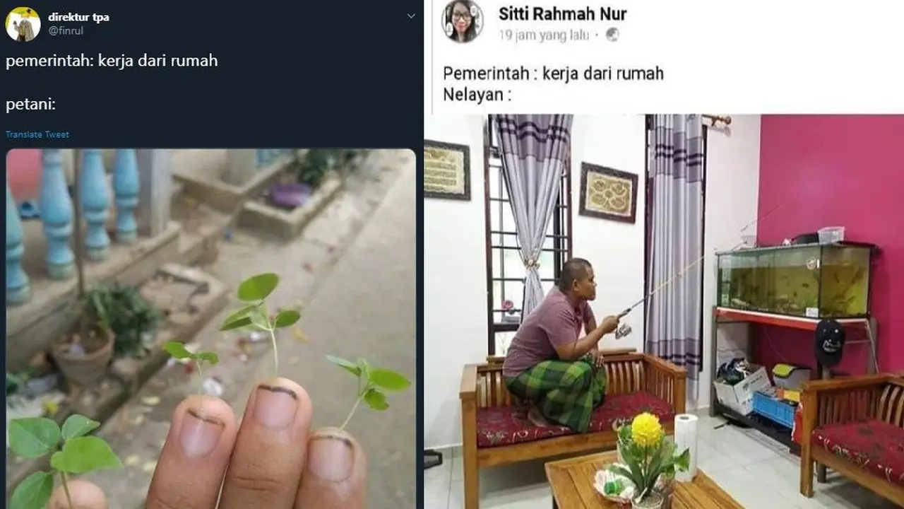 meme deretan profesi ketika jalani WFH
