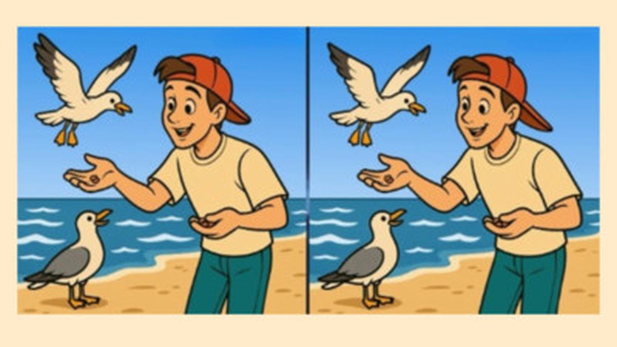 Temukan 3 Perbedaan Menarik dalam Dua Gambar, Uji Ketelitian Mata Kamu