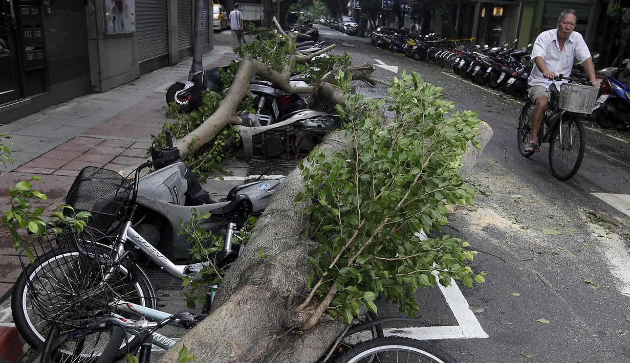 Warga melewati pohon yang tumbang dan menimpa sepeda motor akibat diterjang Topan Dujuan di Taipei, Taiwan, Selasa (29/9/2015). 24 orang mengalami cedera akibat topan raksasa Dujuan. (REUTERS/Pichi Chuang)