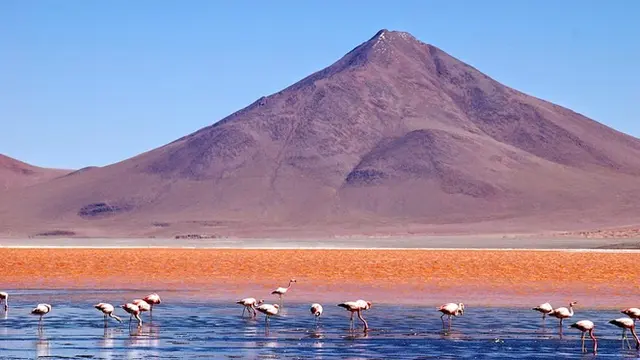 Misteri Air Laguna Colorada di Bolivia yang Berwarna Merah Darah