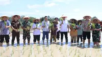 Tanam Padi Bareng Presiden, Lanosin Harap Produksi Pangan Meningkat