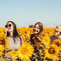 Ilustrasi/Copyright unsplash/Antonino Visalli