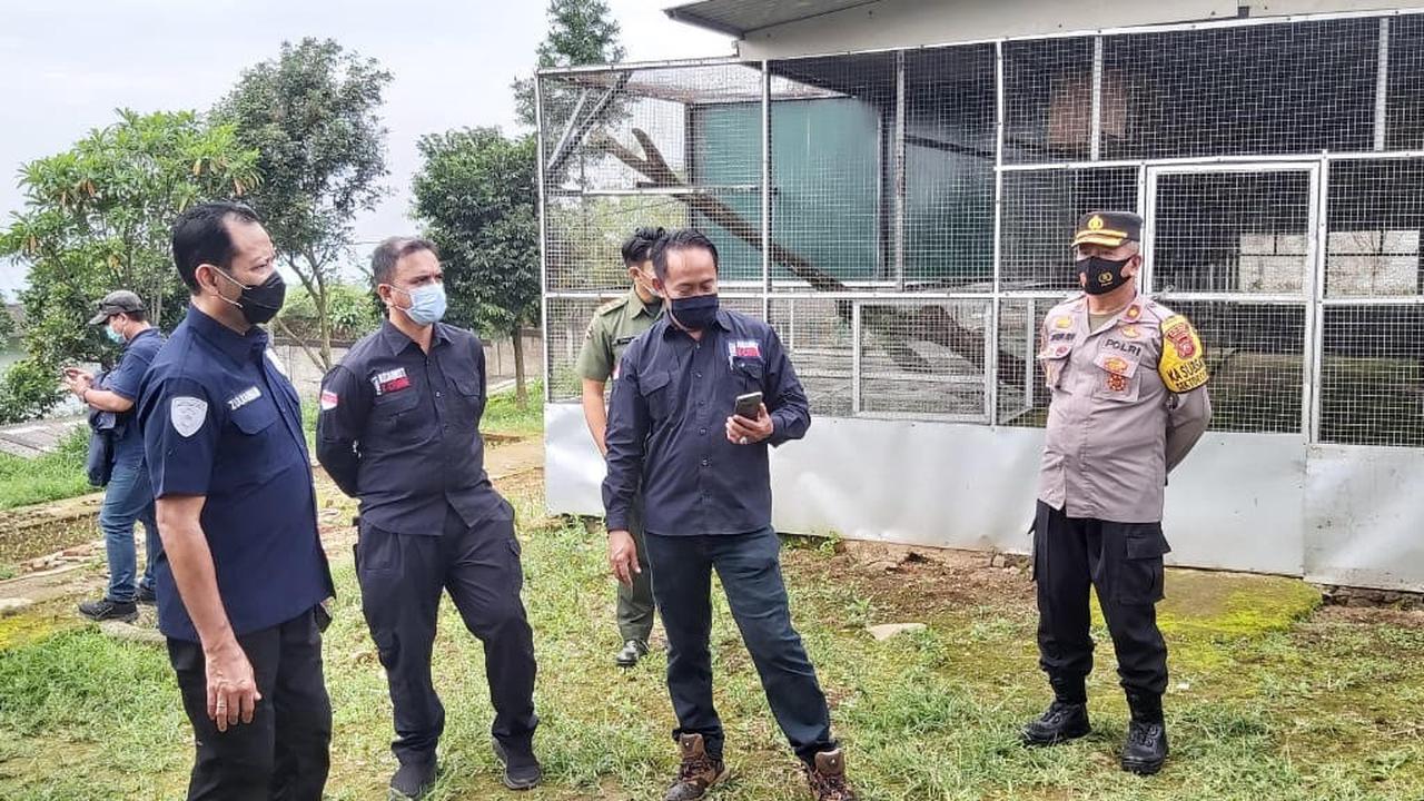 Bareskrim Polri Tangkap Penangkar Ilegal 184 Satwa Dilindungi