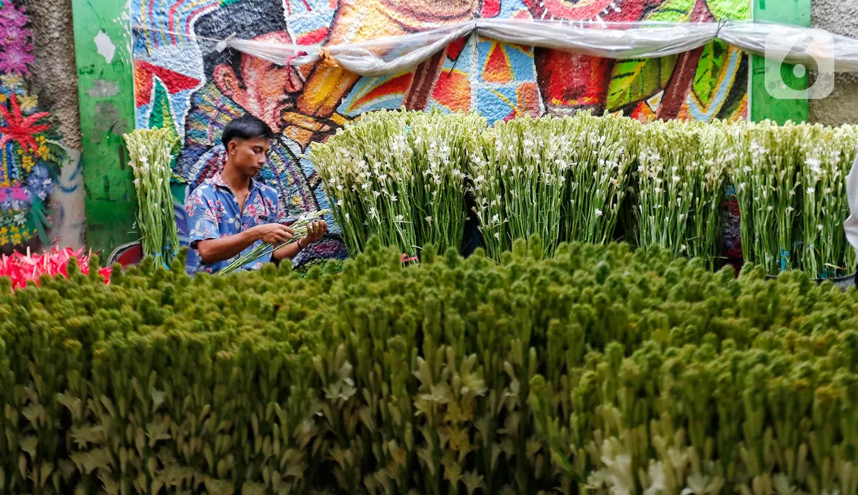 <p>Pedagang menata bunga sedap malam di Pasar Bunga Rawa Belong, Jakarta Barat, Kamis (20/4/2023). Jelang perayaan Idul Fitri 1444 H, bunga sedap malam banyak diburu masyarakat sebagai hiasan saat merayakan Lebaran. (Liputan6.com/Angga Yuniar)</p>