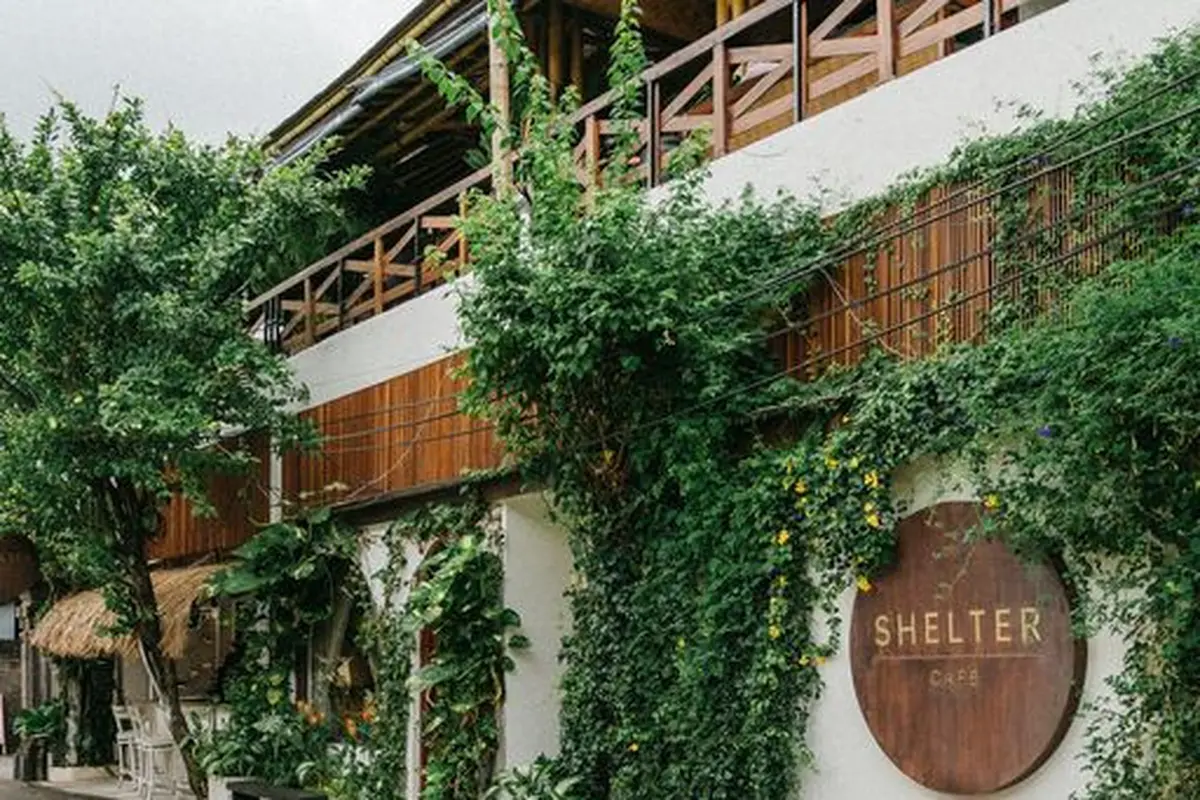 Shelter Cafe