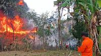 Kebakaran hebat sumur minyak di Dukuh Gendono, Desa Gandu, Kecamatan Bogorejo, saat Hari Ulang Tahun ke-80 Republik Indonesia (HUT ke-80 RI). (Liputan6.com/Ahmad Adirin)