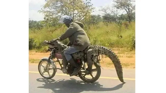 Kumpulan Potret Modifikasi Jok Motor yang Bikin Repot Diri Sendiri (ist)