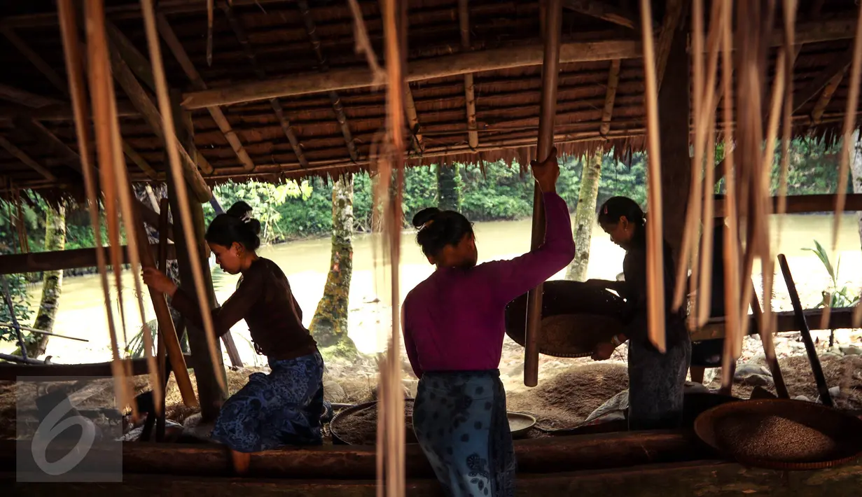 Sejumlah wanita Baduy Luar menumbuk padi di pinggir Kali Ciujung, Kampung Gazebo, Kabupaten Lebak, Banten, Jumat (13/05). Nantinya padi tersebut akan digunakan untuk memenuhi kebutuhan sehari-hari mereka. (Liputan6.com/Fery Pradolo)