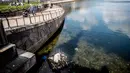 Pejalan kaki melintas dekat sarang angsa di danau dekat Jembatan Ratu Louise, Kopenhagen, Denmark, Selasa (17/4). Sarang yang terdapat sejumlah telur itu sebagian terbuat dari sampah yang ditemukan di danau. (Mads Claus Rasmussen/Ritzau Scanpix via AP)