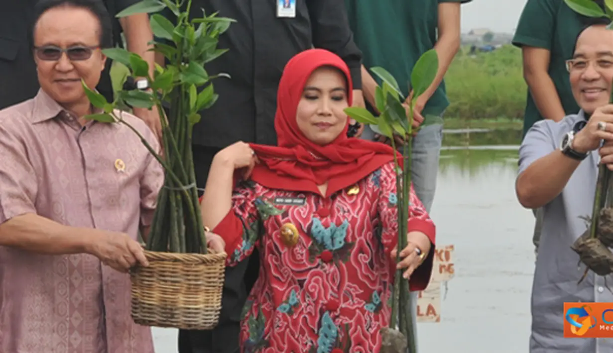 liputan6
