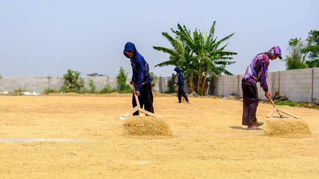 PT Wilmar Padi Indonesia memulai program dalam membantu meningkatkan kemampuan pelaku usaha penggilingan melalui Mill Engagement Program (MEP).