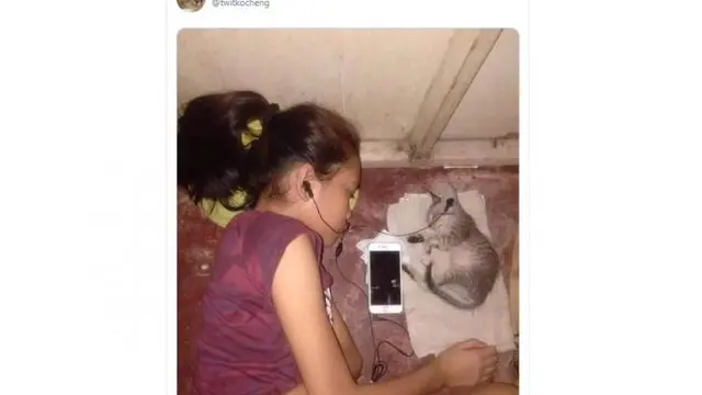 6 Tingkah Absurd Bocah Bareng Kucing Ini Bikin Tepuk Jidat