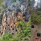 Karhutla Toraja Utara Hanguskan Pemakaman Tradisional, Diduga Sengaja Dibakar
