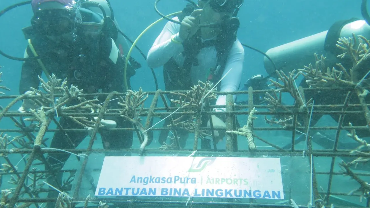 Penanaman terumbu karang