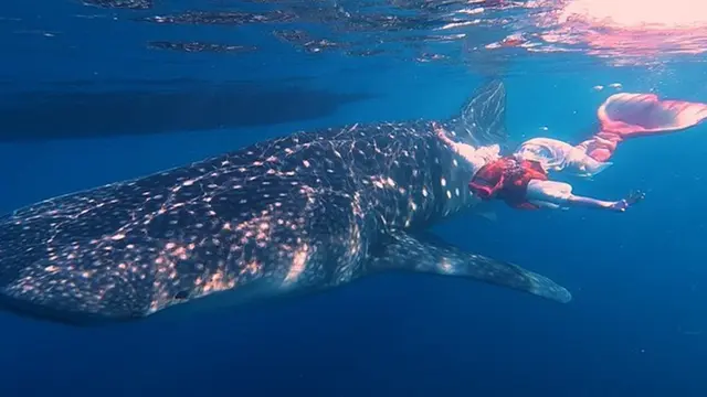 Ria Ricis saat Jadi Putri Duyung, Lepas Penat Dengan Snorkeling