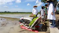Tingkatkan Hasil Pertanian, Bupati Anas Dorong Petani Maksimalkan Alsintan