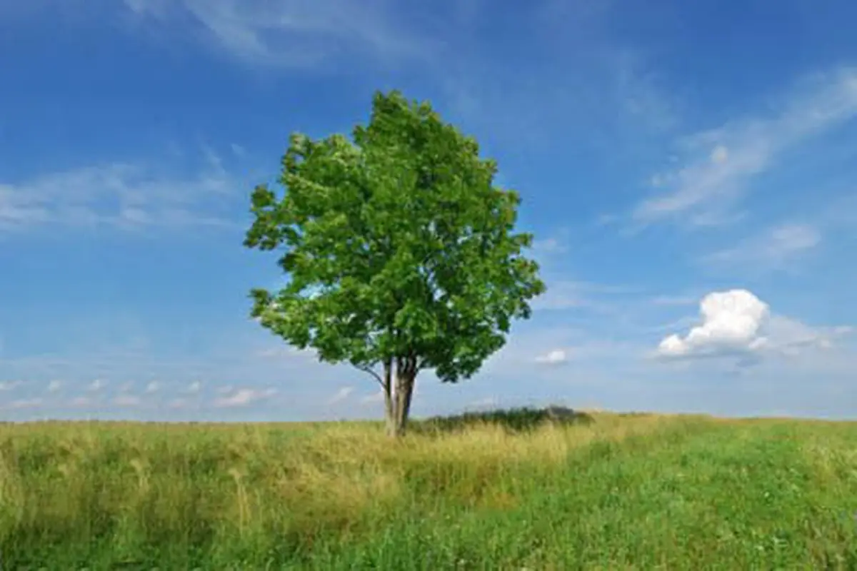 Foto dok. Vemale.com
