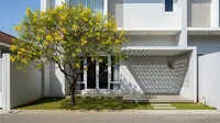 10 Jenis Pohon yang Teduh, tapi Indah untuk Ditanam di Halaman Rumah