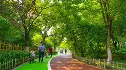 Orang-orang berjalan di "jalur hijau" di sebuah taman di Kota Tangshan, Provinsi Hebei, China utara (10/7/2020). Fase pertama dari proyek "jalur hijau" ini, yang meliputi delapan jembatan wisata dan menghubungkan beberapa taman kota, telah memasuki tahap operasional uji coba. (Xinhua/Yang Shiyao)