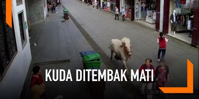 VIDEO: Kabur Dari Upacara Pernikahan, Seekor Kuda Ditembak Mati