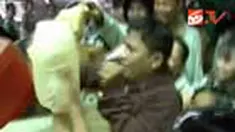 liputan6