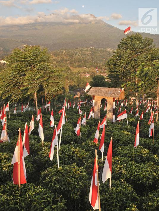 Foto 1 970 Bendera Merah Putih Berkibar Di Lereng Gunung Lawu News Liputan6 Com