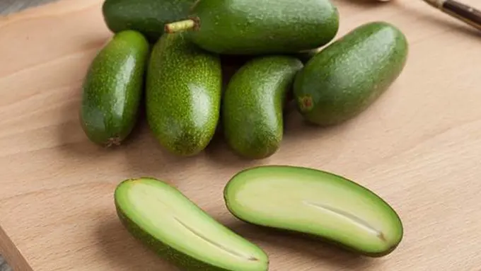 Alpukat tanpa biji./Copyright today.com