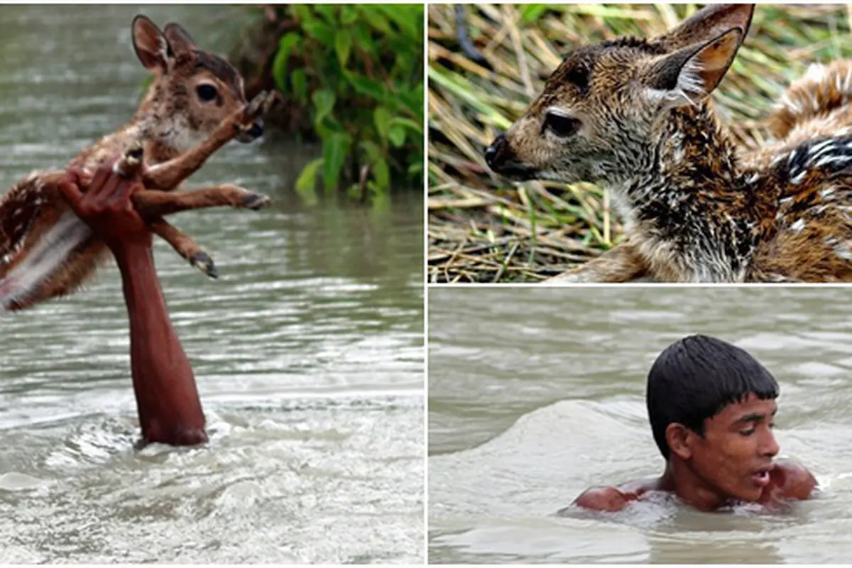 Photo copyright Dailymail.co.uk