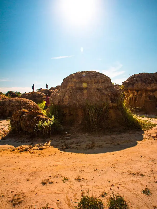 Bukit Jamur, Jawa Timur