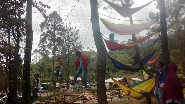 Wisata