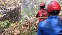 Kebakaran Hutan Taman Nasional Babul Meluas