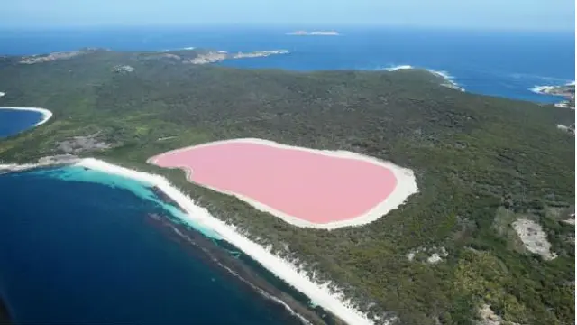 Uniknya warna air Lake Hillier dilihat dari udara (Esperance Tourism)