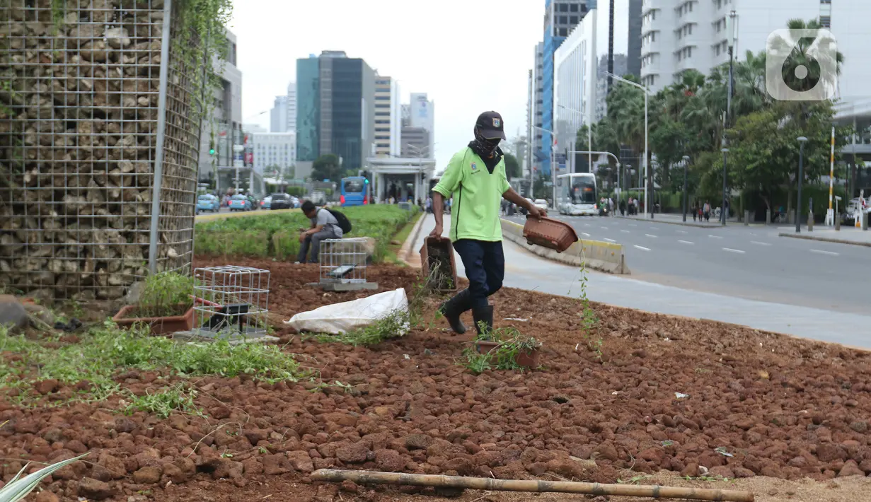 Petugas Dinas Kehutanan DKI menanami tanaman hias di sekitar instalasi batu gabion yang kembali dipasang di kawasan Bundaran HI, Jakarta, Sabtu (4/1/2020). Instalasi gabion di lokasi tersebut sempat dibongkar untuk dijadikan panggung saat perayaan malam tahun baru. (Liputan6.com/Herman Zakharia)