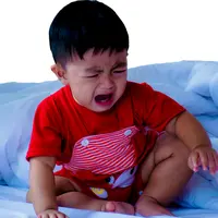 ilustrasi/copyright shutterstock.com