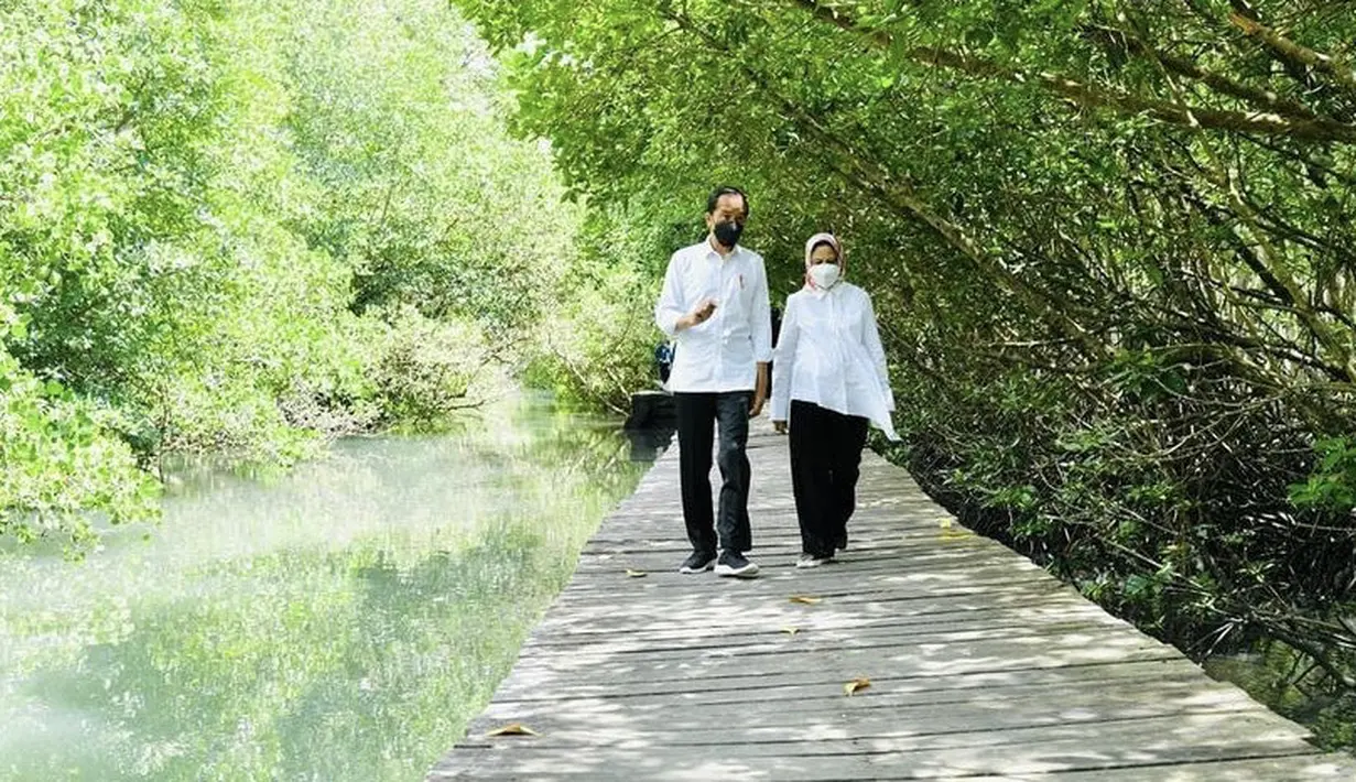 Jokowi dan Iriana tampak romantis berjalan di jembatan yang membelah mangrove di Taman Hutan Raya Ngurah Rai, Bali. Keduanya kompak mengenakan kemeja putih dipadukan celana hitam. Instagram @jokowi.