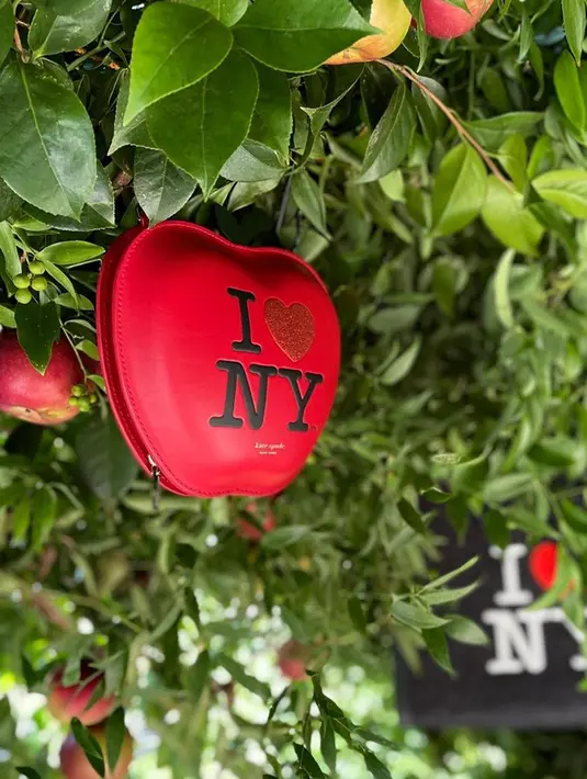 Koleksi musim gugur 2021 dari Kate Spade New York sendiri kembali dengan Spade Flower Jacquard yang ikonis, perpaduan warna graphic black dan cream print, aksen warna bold red dan pink color-block stripe di bagian depan. Foto: Document/Kate Spade New York.