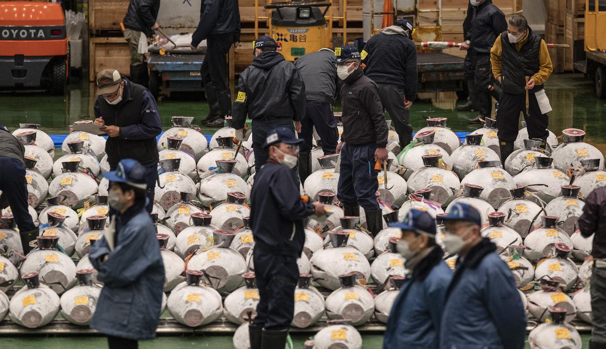 Peserta melihat tuna beku saat penjual grosir dan pembeli menghadiri lelang tuna pertama Tahun Baru di pasar ikan Toyosu di Tokyo (5/1/2023). Sejak pagi ratusan peserta lelang juga turut memeriksa kualitas daging ikan tuna tersebut. (AFP/Richard A. Brooks)