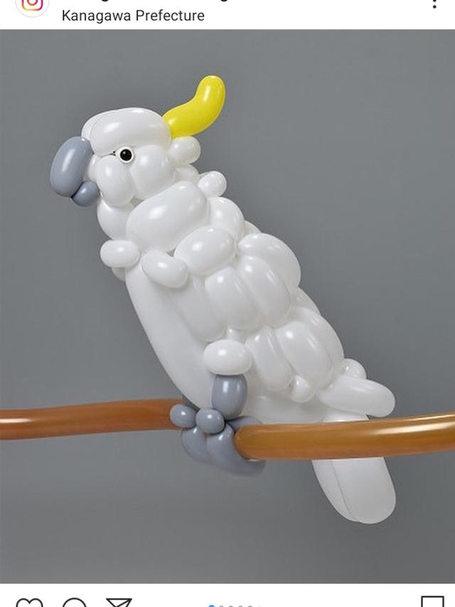 Balloon Art