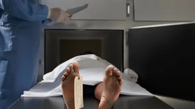 Photo: Copyright mirror.co.uk