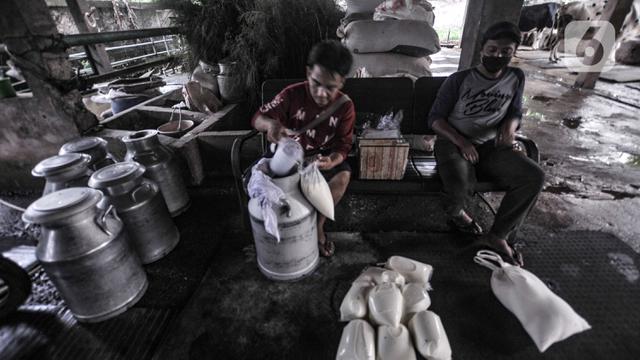 Geliat Industri Susu Sapi Perah di Masa Pandemi COVID-19