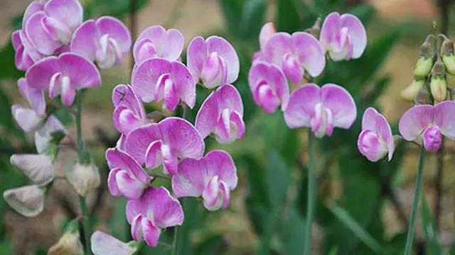 Foto: copyright landarchs.com