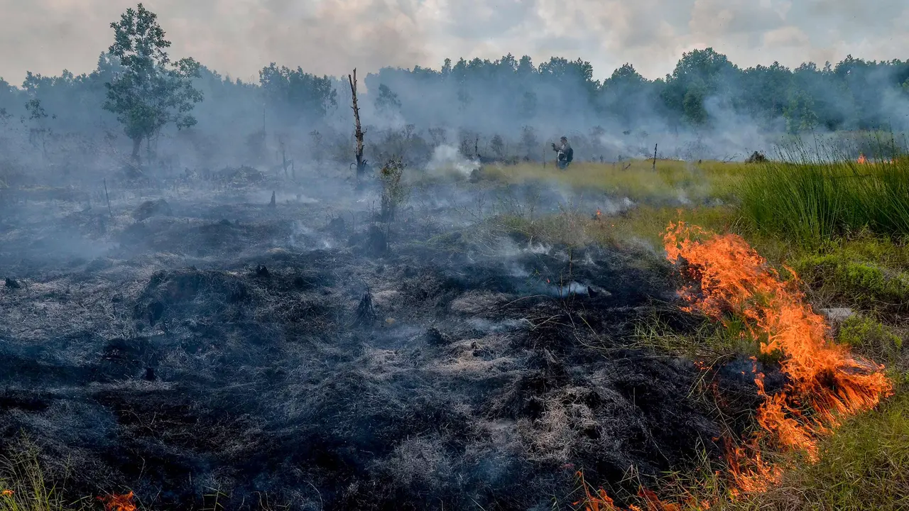 Kebakaran Landa Lahan Gambut di Riau