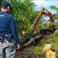 Alat berat yang digunakan pelaku perambahan Suaka Margasatwa Giam Siak Kecil untuk membuka kebun sawit. (Liputan6.com/Dok BBKSDA Riau)