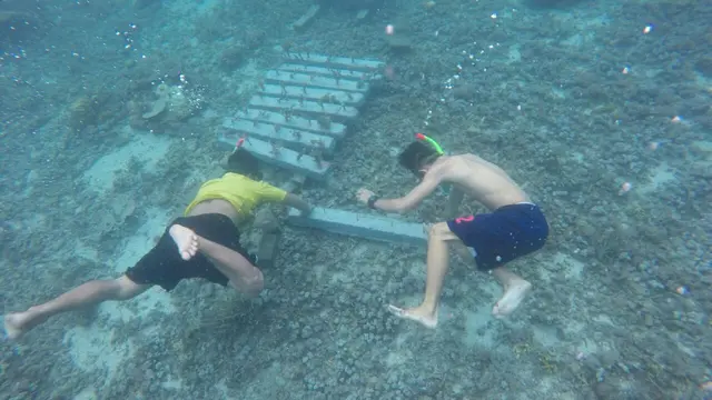 Kisah Perawat Karang-Karang Laut Tidore