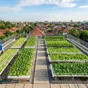 Pertanian Hidroganik, Jurus Jitu Ketahanan Pangan dan Urban Farming di Palu