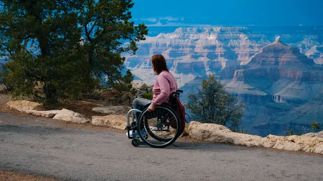 ilustrasi disabilitas
