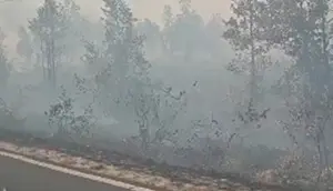 Kebakaran Hutan Kalimantan, Kemenkes Minta Warga Waspada ISPA