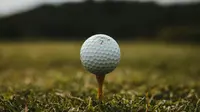 Players Championship 2026: A Fantastic $25 Million Prize Pool, How Much Money For Each Winner?