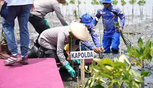 Abrasi dan Rob Ancam 400 Hektare di Batang, 1.000 Mangrove Ditanam